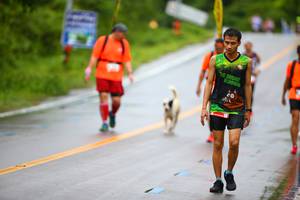 BIB: 
                            <button type="button" onclick="openModal(5560327)" class="btn btn-primary btn-sm float-right btn-popup" data-toggle="modal" data-target=".modal-high-quality">
                        <i class="fas fa-shopping-cart"></i> Add to Cart
                    </button>
                                            <button type="button" onclick="isThisMe(5560327, true)" class="btn btn-success btn-sm float-right btn-popup btn-isme hidden" data-toggle="tooltip" data-placement="bottom" title="นี่คือรูปของคุณใช่ไหม คลิกที่นี่เพื่อเอาเข้าอัลบั้ม">
                        <i class="fas fa-plus"></i> Add to album
                    </button>
                    <button type="button" onclick="isThisMe(5560327, false)" class="btn btn-warning btn-sm float-right btn-popup btn-isnotme hidden">
                        <i class="fas fa-ban"></i> Remove from album
                    </button>