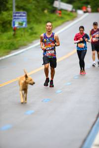 BIB: 5415, 
                            <button type="button" onclick="openModal(5546964)" class="btn btn-primary btn-sm float-right btn-popup" data-toggle="modal" data-target=".modal-high-quality">
                        <i class="fas fa-shopping-cart"></i> Add to Cart
                    </button>
                                            <button type="button" onclick="isThisMe(5546964, true)" class="btn btn-success btn-sm float-right btn-popup btn-isme hidden" data-toggle="tooltip" data-placement="bottom" title="นี่คือรูปของคุณใช่ไหม คลิกที่นี่เพื่อเอาเข้าอัลบั้ม">
                        <i class="fas fa-plus"></i> Add to album
                    </button>
                    <button type="button" onclick="isThisMe(5546964, false)" class="btn btn-warning btn-sm float-right btn-popup btn-isnotme hidden">
                        <i class="fas fa-ban"></i> Remove from album
                    </button>