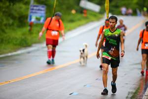 BIB: 
                            <button type="button" onclick="openModal(5560312)" class="btn btn-primary btn-sm float-right btn-popup" data-toggle="modal" data-target=".modal-high-quality">
                        <i class="fas fa-shopping-cart"></i> Add to Cart
                    </button>
                                            <button type="button" onclick="isThisMe(5560312, true)" class="btn btn-success btn-sm float-right btn-popup btn-isme hidden" data-toggle="tooltip" data-placement="bottom" title="นี่คือรูปของคุณใช่ไหม คลิกที่นี่เพื่อเอาเข้าอัลบั้ม">
                        <i class="fas fa-plus"></i> Add to album
                    </button>
                    <button type="button" onclick="isThisMe(5560312, false)" class="btn btn-warning btn-sm float-right btn-popup btn-isnotme hidden">
                        <i class="fas fa-ban"></i> Remove from album
                    </button>