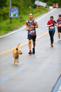 BIB: 210, 5415, 
                            <button type="button" onclick="openModal(5546987)" class="btn btn-primary btn-sm float-right btn-popup" data-toggle="modal" data-target=".modal-high-quality">
                        <i class="fas fa-shopping-cart"></i> Add to Cart
                    </button>
                                            <button type="button" onclick="isThisMe(5546987, true)" class="btn btn-success btn-sm float-right btn-popup btn-isme hidden" data-toggle="tooltip" data-placement="bottom" title="นี่คือรูปของคุณใช่ไหม คลิกที่นี่เพื่อเอาเข้าอัลบั้ม">
                        <i class="fas fa-plus"></i> Add to album
                    </button>
                    <button type="button" onclick="isThisMe(5546987, false)" class="btn btn-warning btn-sm float-right btn-popup btn-isnotme hidden">
                        <i class="fas fa-ban"></i> Remove from album
                    </button>