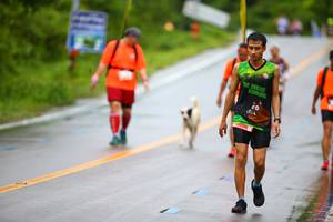 BIB: 
                            <button type="button" onclick="openModal(5560314)" class="btn btn-primary btn-sm float-right btn-popup" data-toggle="modal" data-target=".modal-high-quality">
                        <i class="fas fa-shopping-cart"></i> Add to Cart
                    </button>
                                            <button type="button" onclick="isThisMe(5560314, true)" class="btn btn-success btn-sm float-right btn-popup btn-isme hidden" data-toggle="tooltip" data-placement="bottom" title="นี่คือรูปของคุณใช่ไหม คลิกที่นี่เพื่อเอาเข้าอัลบั้ม">
                        <i class="fas fa-plus"></i> Add to album
                    </button>
                    <button type="button" onclick="isThisMe(5560314, false)" class="btn btn-warning btn-sm float-right btn-popup btn-isnotme hidden">
                        <i class="fas fa-ban"></i> Remove from album
                    </button>