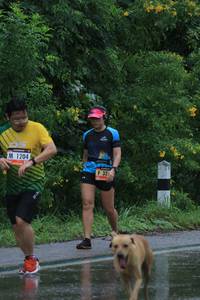 BIB: 1204
                            <button type="button" onclick="openModal(5668974)" class="btn btn-primary btn-sm float-right btn-popup" data-toggle="modal" data-target=".modal-high-quality">
                        <i class="fas fa-shopping-cart"></i> Add to Cart
                    </button>
                                            <button type="button" onclick="isThisMe(5668974, true)" class="btn btn-success btn-sm float-right btn-popup btn-isme hidden" data-toggle="tooltip" data-placement="bottom" title="นี่คือรูปของคุณใช่ไหม คลิกที่นี่เพื่อเอาเข้าอัลบั้ม">
                        <i class="fas fa-plus"></i> Add to album
                    </button>
                    <button type="button" onclick="isThisMe(5668974, false)" class="btn btn-warning btn-sm float-right btn-popup btn-isnotme hidden">
                        <i class="fas fa-ban"></i> Remove from album
                    </button>