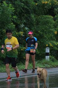 BIB: 1204
                            <button type="button" onclick="openModal(5668922)" class="btn btn-primary btn-sm float-right btn-popup" data-toggle="modal" data-target=".modal-high-quality">
                        <i class="fas fa-shopping-cart"></i> Add to Cart
                    </button>
                                            <button type="button" onclick="isThisMe(5668922, true)" class="btn btn-success btn-sm float-right btn-popup btn-isme hidden" data-toggle="tooltip" data-placement="bottom" title="นี่คือรูปของคุณใช่ไหม คลิกที่นี่เพื่อเอาเข้าอัลบั้ม">
                        <i class="fas fa-plus"></i> Add to album
                    </button>
                    <button type="button" onclick="isThisMe(5668922, false)" class="btn btn-warning btn-sm float-right btn-popup btn-isnotme hidden">
                        <i class="fas fa-ban"></i> Remove from album
                    </button>