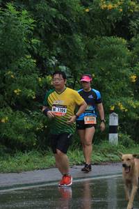 BIB: 1204, 3205
                            <button type="button" onclick="openModal(5668618)" class="btn btn-primary btn-sm float-right btn-popup" data-toggle="modal" data-target=".modal-high-quality">
                        <i class="fas fa-shopping-cart"></i> Add to Cart
                    </button>
                                            <button type="button" onclick="isThisMe(5668618, true)" class="btn btn-success btn-sm float-right btn-popup btn-isme hidden" data-toggle="tooltip" data-placement="bottom" title="นี่คือรูปของคุณใช่ไหม คลิกที่นี่เพื่อเอาเข้าอัลบั้ม">
                        <i class="fas fa-plus"></i> Add to album
                    </button>
                    <button type="button" onclick="isThisMe(5668618, false)" class="btn btn-warning btn-sm float-right btn-popup btn-isnotme hidden">
                        <i class="fas fa-ban"></i> Remove from album
                    </button>