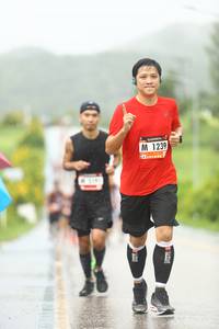 BIB: 1239, 
                            <button type="button" onclick="openModal(5539605)" class="btn btn-primary btn-sm float-right btn-popup" data-toggle="modal" data-target=".modal-high-quality">
                        <i class="fas fa-shopping-cart"></i> Add to Cart
                    </button>
                                            <button type="button" onclick="isThisMe(5539605, true)" class="btn btn-success btn-sm float-right btn-popup btn-isme hidden" data-toggle="tooltip" data-placement="bottom" title="นี่คือรูปของคุณใช่ไหม คลิกที่นี่เพื่อเอาเข้าอัลบั้ม">
                        <i class="fas fa-plus"></i> Add to album
                    </button>
                    <button type="button" onclick="isThisMe(5539605, false)" class="btn btn-warning btn-sm float-right btn-popup btn-isnotme hidden">
                        <i class="fas fa-ban"></i> Remove from album
                    </button>