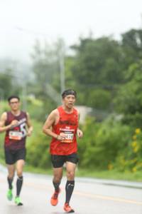 BIB: 
                            <button type="button" onclick="openModal(5538153)" class="btn btn-primary btn-sm float-right btn-popup" data-toggle="modal" data-target=".modal-high-quality">
                        <i class="fas fa-shopping-cart"></i> Add to Cart
                    </button>
                                            <button type="button" onclick="isThisMe(5538153, true)" class="btn btn-success btn-sm float-right btn-popup btn-isme hidden" data-toggle="tooltip" data-placement="bottom" title="นี่คือรูปของคุณใช่ไหม คลิกที่นี่เพื่อเอาเข้าอัลบั้ม">
                        <i class="fas fa-plus"></i> Add to album
                    </button>
                    <button type="button" onclick="isThisMe(5538153, false)" class="btn btn-warning btn-sm float-right btn-popup btn-isnotme hidden">
                        <i class="fas fa-ban"></i> Remove from album
                    </button>