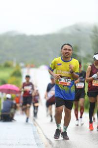 BIB: 1539
                            <button type="button" onclick="openModal(5543546)" class="btn btn-primary btn-sm float-right btn-popup" data-toggle="modal" data-target=".modal-high-quality">
                        <i class="fas fa-shopping-cart"></i> Add to Cart
                    </button>
                                            <button type="button" onclick="isThisMe(5543546, true)" class="btn btn-success btn-sm float-right btn-popup btn-isme hidden" data-toggle="tooltip" data-placement="bottom" title="นี่คือรูปของคุณใช่ไหม คลิกที่นี่เพื่อเอาเข้าอัลบั้ม">
                        <i class="fas fa-plus"></i> Add to album
                    </button>
                    <button type="button" onclick="isThisMe(5543546, false)" class="btn btn-warning btn-sm float-right btn-popup btn-isnotme hidden">
                        <i class="fas fa-ban"></i> Remove from album
                    </button>