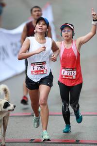 BIB: 7206, 7215
                            <button type="button" onclick="openModal(5559855)" class="btn btn-primary btn-sm float-right btn-popup" data-toggle="modal" data-target=".modal-high-quality">
                        <i class="fas fa-shopping-cart"></i> Add to Cart
                    </button>
                                            <button type="button" onclick="isThisMe(5559855, true)" class="btn btn-success btn-sm float-right btn-popup btn-isme hidden" data-toggle="tooltip" data-placement="bottom" title="นี่คือรูปของคุณใช่ไหม คลิกที่นี่เพื่อเอาเข้าอัลบั้ม">
                        <i class="fas fa-plus"></i> Add to album
                    </button>
                    <button type="button" onclick="isThisMe(5559855, false)" class="btn btn-warning btn-sm float-right btn-popup btn-isnotme hidden">
                        <i class="fas fa-ban"></i> Remove from album
                    </button>