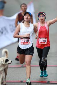 BIB: 7206, 7215
                            <button type="button" onclick="openModal(5559856)" class="btn btn-primary btn-sm float-right btn-popup" data-toggle="modal" data-target=".modal-high-quality">
                        <i class="fas fa-shopping-cart"></i> Add to Cart
                    </button>
                                            <button type="button" onclick="isThisMe(5559856, true)" class="btn btn-success btn-sm float-right btn-popup btn-isme hidden" data-toggle="tooltip" data-placement="bottom" title="นี่คือรูปของคุณใช่ไหม คลิกที่นี่เพื่อเอาเข้าอัลบั้ม">
                        <i class="fas fa-plus"></i> Add to album
                    </button>
                    <button type="button" onclick="isThisMe(5559856, false)" class="btn btn-warning btn-sm float-right btn-popup btn-isnotme hidden">
                        <i class="fas fa-ban"></i> Remove from album
                    </button>