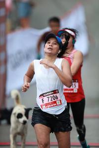 BIB: 7206
                            <button type="button" onclick="openModal(5559866)" class="btn btn-primary btn-sm float-right btn-popup" data-toggle="modal" data-target=".modal-high-quality">
                        <i class="fas fa-shopping-cart"></i> Add to Cart
                    </button>
                                            <button type="button" onclick="isThisMe(5559866, true)" class="btn btn-success btn-sm float-right btn-popup btn-isme hidden" data-toggle="tooltip" data-placement="bottom" title="นี่คือรูปของคุณใช่ไหม คลิกที่นี่เพื่อเอาเข้าอัลบั้ม">
                        <i class="fas fa-plus"></i> Add to album
                    </button>
                    <button type="button" onclick="isThisMe(5559866, false)" class="btn btn-warning btn-sm float-right btn-popup btn-isnotme hidden">
                        <i class="fas fa-ban"></i> Remove from album
                    </button>