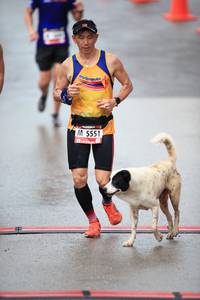 BIB: 5551
                            <button type="button" onclick="openModal(5543254)" class="btn btn-primary btn-sm float-right btn-popup" data-toggle="modal" data-target=".modal-high-quality">
                        <i class="fas fa-shopping-cart"></i> Add to Cart
                    </button>
                                            <button type="button" onclick="isThisMe(5543254, true)" class="btn btn-success btn-sm float-right btn-popup btn-isme hidden" data-toggle="tooltip" data-placement="bottom" title="นี่คือรูปของคุณใช่ไหม คลิกที่นี่เพื่อเอาเข้าอัลบั้ม">
                        <i class="fas fa-plus"></i> Add to album
                    </button>
                    <button type="button" onclick="isThisMe(5543254, false)" class="btn btn-warning btn-sm float-right btn-popup btn-isnotme hidden">
                        <i class="fas fa-ban"></i> Remove from album
                    </button>