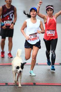 BIB: 5422, 7215, 7206
                            <button type="button" onclick="openModal(5543311)" class="btn btn-primary btn-sm float-right btn-popup" data-toggle="modal" data-target=".modal-high-quality">
                        <i class="fas fa-shopping-cart"></i> Add to Cart
                    </button>
                                            <button type="button" onclick="isThisMe(5543311, true)" class="btn btn-success btn-sm float-right btn-popup btn-isme hidden" data-toggle="tooltip" data-placement="bottom" title="นี่คือรูปของคุณใช่ไหม คลิกที่นี่เพื่อเอาเข้าอัลบั้ม">
                        <i class="fas fa-plus"></i> Add to album
                    </button>
                    <button type="button" onclick="isThisMe(5543311, false)" class="btn btn-warning btn-sm float-right btn-popup btn-isnotme hidden">
                        <i class="fas fa-ban"></i> Remove from album
                    </button>