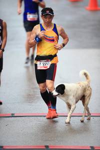 BIB: 5551
                            <button type="button" onclick="openModal(5543260)" class="btn btn-primary btn-sm float-right btn-popup" data-toggle="modal" data-target=".modal-high-quality">
                        <i class="fas fa-shopping-cart"></i> Add to Cart
                    </button>
                                            <button type="button" onclick="isThisMe(5543260, true)" class="btn btn-success btn-sm float-right btn-popup btn-isme hidden" data-toggle="tooltip" data-placement="bottom" title="นี่คือรูปของคุณใช่ไหม คลิกที่นี่เพื่อเอาเข้าอัลบั้ม">
                        <i class="fas fa-plus"></i> Add to album
                    </button>
                    <button type="button" onclick="isThisMe(5543260, false)" class="btn btn-warning btn-sm float-right btn-popup btn-isnotme hidden">
                        <i class="fas fa-ban"></i> Remove from album
                    </button>