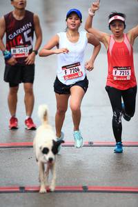 BIB: 5623, 7206, 7215
                            <button type="button" onclick="openModal(5543313)" class="btn btn-primary btn-sm float-right btn-popup" data-toggle="modal" data-target=".modal-high-quality">
                        <i class="fas fa-shopping-cart"></i> Add to Cart
                    </button>
                                            <button type="button" onclick="isThisMe(5543313, true)" class="btn btn-success btn-sm float-right btn-popup btn-isme hidden" data-toggle="tooltip" data-placement="bottom" title="นี่คือรูปของคุณใช่ไหม คลิกที่นี่เพื่อเอาเข้าอัลบั้ม">
                        <i class="fas fa-plus"></i> Add to album
                    </button>
                    <button type="button" onclick="isThisMe(5543313, false)" class="btn btn-warning btn-sm float-right btn-popup btn-isnotme hidden">
                        <i class="fas fa-ban"></i> Remove from album
                    </button>