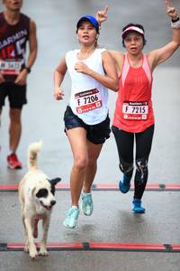 BIB: 7206, 7215
                            <button type="button" onclick="openModal(5543337)" class="btn btn-primary btn-sm float-right btn-popup" data-toggle="modal" data-target=".modal-high-quality">
                        <i class="fas fa-shopping-cart"></i> Add to Cart
                    </button>
                                            <button type="button" onclick="isThisMe(5543337, true)" class="btn btn-success btn-sm float-right btn-popup btn-isme hidden" data-toggle="tooltip" data-placement="bottom" title="นี่คือรูปของคุณใช่ไหม คลิกที่นี่เพื่อเอาเข้าอัลบั้ม">
                        <i class="fas fa-plus"></i> Add to album
                    </button>
                    <button type="button" onclick="isThisMe(5543337, false)" class="btn btn-warning btn-sm float-right btn-popup btn-isnotme hidden">
                        <i class="fas fa-ban"></i> Remove from album
                    </button>