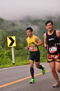 BIB: 5584, 1222
                            <button type="button" onclick="openModal(5689454)" class="btn btn-primary btn-sm float-right btn-popup" data-toggle="modal" data-target=".modal-high-quality">
                        <i class="fas fa-shopping-cart"></i> Add to Cart
                    </button>
                                            <button type="button" onclick="isThisMe(5689454, true)" class="btn btn-success btn-sm float-right btn-popup btn-isme hidden" data-toggle="tooltip" data-placement="bottom" title="นี่คือรูปของคุณใช่ไหม คลิกที่นี่เพื่อเอาเข้าอัลบั้ม">
                        <i class="fas fa-plus"></i> Add to album
                    </button>
                    <button type="button" onclick="isThisMe(5689454, false)" class="btn btn-warning btn-sm float-right btn-popup btn-isnotme hidden">
                        <i class="fas fa-ban"></i> Remove from album
                    </button>