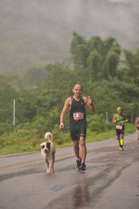 BIB: 5084, 
                            <button type="button" onclick="openModal(5750373)" class="btn btn-primary btn-sm float-right btn-popup" data-toggle="modal" data-target=".modal-high-quality">
                        <i class="fas fa-shopping-cart"></i> Add to Cart
                    </button>
                                            <button type="button" onclick="isThisMe(5750373, true)" class="btn btn-success btn-sm float-right btn-popup btn-isme hidden" data-toggle="tooltip" data-placement="bottom" title="นี่คือรูปของคุณใช่ไหม คลิกที่นี่เพื่อเอาเข้าอัลบั้ม">
                        <i class="fas fa-plus"></i> Add to album
                    </button>
                    <button type="button" onclick="isThisMe(5750373, false)" class="btn btn-warning btn-sm float-right btn-popup btn-isnotme hidden">
                        <i class="fas fa-ban"></i> Remove from album
                    </button>