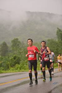 BIB: 5456
                            <button type="button" onclick="openModal(5750719)" class="btn btn-primary btn-sm float-right btn-popup" data-toggle="modal" data-target=".modal-high-quality">
                        <i class="fas fa-shopping-cart"></i> Add to Cart
                    </button>
                                            <button type="button" onclick="isThisMe(5750719, true)" class="btn btn-success btn-sm float-right btn-popup btn-isme hidden" data-toggle="tooltip" data-placement="bottom" title="นี่คือรูปของคุณใช่ไหม คลิกที่นี่เพื่อเอาเข้าอัลบั้ม">
                        <i class="fas fa-plus"></i> Add to album
                    </button>
                    <button type="button" onclick="isThisMe(5750719, false)" class="btn btn-warning btn-sm float-right btn-popup btn-isnotme hidden">
                        <i class="fas fa-ban"></i> Remove from album
                    </button>