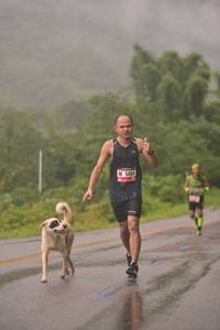 BIB: 5084, 4174, 
                            <button type="button" onclick="openModal(5750393)" class="btn btn-primary btn-sm float-right btn-popup" data-toggle="modal" data-target=".modal-high-quality">
                        <i class="fas fa-shopping-cart"></i> Add to Cart
                    </button>
                                            <button type="button" onclick="isThisMe(5750393, true)" class="btn btn-success btn-sm float-right btn-popup btn-isme hidden" data-toggle="tooltip" data-placement="bottom" title="นี่คือรูปของคุณใช่ไหม คลิกที่นี่เพื่อเอาเข้าอัลบั้ม">
                        <i class="fas fa-plus"></i> Add to album
                    </button>
                    <button type="button" onclick="isThisMe(5750393, false)" class="btn btn-warning btn-sm float-right btn-popup btn-isnotme hidden">
                        <i class="fas fa-ban"></i> Remove from album
                    </button>