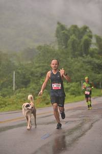 BIB: 5084, 
                            <button type="button" onclick="openModal(5750382)" class="btn btn-primary btn-sm float-right btn-popup" data-toggle="modal" data-target=".modal-high-quality">
                        <i class="fas fa-shopping-cart"></i> Add to Cart
                    </button>
                                            <button type="button" onclick="isThisMe(5750382, true)" class="btn btn-success btn-sm float-right btn-popup btn-isme hidden" data-toggle="tooltip" data-placement="bottom" title="นี่คือรูปของคุณใช่ไหม คลิกที่นี่เพื่อเอาเข้าอัลบั้ม">
                        <i class="fas fa-plus"></i> Add to album
                    </button>
                    <button type="button" onclick="isThisMe(5750382, false)" class="btn btn-warning btn-sm float-right btn-popup btn-isnotme hidden">
                        <i class="fas fa-ban"></i> Remove from album
                    </button>