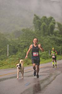 BIB: 5084, 
                            <button type="button" onclick="openModal(5750376)" class="btn btn-primary btn-sm float-right btn-popup" data-toggle="modal" data-target=".modal-high-quality">
                        <i class="fas fa-shopping-cart"></i> Add to Cart
                    </button>
                                            <button type="button" onclick="isThisMe(5750376, true)" class="btn btn-success btn-sm float-right btn-popup btn-isme hidden" data-toggle="tooltip" data-placement="bottom" title="นี่คือรูปของคุณใช่ไหม คลิกที่นี่เพื่อเอาเข้าอัลบั้ม">
                        <i class="fas fa-plus"></i> Add to album
                    </button>
                    <button type="button" onclick="isThisMe(5750376, false)" class="btn btn-warning btn-sm float-right btn-popup btn-isnotme hidden">
                        <i class="fas fa-ban"></i> Remove from album
                    </button>