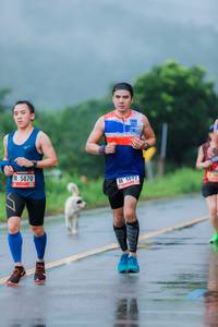 BIB: 5870, 5892
                            <button type="button" onclick="openModal(5721740)" class="btn btn-primary btn-sm float-right btn-popup" data-toggle="modal" data-target=".modal-high-quality">
                        <i class="fas fa-shopping-cart"></i> Add to Cart
                    </button>
                                            <button type="button" onclick="isThisMe(5721740, true)" class="btn btn-success btn-sm float-right btn-popup btn-isme hidden" data-toggle="tooltip" data-placement="bottom" title="นี่คือรูปของคุณใช่ไหม คลิกที่นี่เพื่อเอาเข้าอัลบั้ม">
                        <i class="fas fa-plus"></i> Add to album
                    </button>
                    <button type="button" onclick="isThisMe(5721740, false)" class="btn btn-warning btn-sm float-right btn-popup btn-isnotme hidden">
                        <i class="fas fa-ban"></i> Remove from album
                    </button>