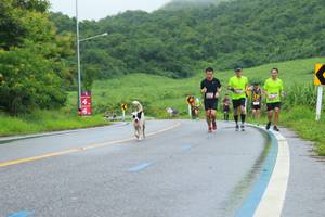 BIB: 
                            <button type="button" onclick="openModal(5740506)" class="btn btn-primary btn-sm float-right btn-popup" data-toggle="modal" data-target=".modal-high-quality">
                        <i class="fas fa-shopping-cart"></i> Add to Cart
                    </button>
                                            <button type="button" onclick="isThisMe(5740506, true)" class="btn btn-success btn-sm float-right btn-popup btn-isme hidden" data-toggle="tooltip" data-placement="bottom" title="นี่คือรูปของคุณใช่ไหม คลิกที่นี่เพื่อเอาเข้าอัลบั้ม">
                        <i class="fas fa-plus"></i> Add to album
                    </button>
                    <button type="button" onclick="isThisMe(5740506, false)" class="btn btn-warning btn-sm float-right btn-popup btn-isnotme hidden">
                        <i class="fas fa-ban"></i> Remove from album
                    </button>