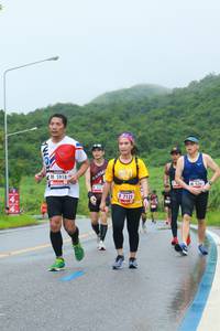 BIB: 5918, 526, 7121
                            <button type="button" onclick="openModal(5716110)" class="btn btn-primary btn-sm float-right btn-popup" data-toggle="modal" data-target=".modal-high-quality">
                        <i class="fas fa-shopping-cart"></i> Add to Cart
                    </button>
                                            <button type="button" onclick="isThisMe(5716110, true)" class="btn btn-success btn-sm float-right btn-popup btn-isme hidden" data-toggle="tooltip" data-placement="bottom" title="นี่คือรูปของคุณใช่ไหม คลิกที่นี่เพื่อเอาเข้าอัลบั้ม">
                        <i class="fas fa-plus"></i> Add to album
                    </button>
                    <button type="button" onclick="isThisMe(5716110, false)" class="btn btn-warning btn-sm float-right btn-popup btn-isnotme hidden">
                        <i class="fas fa-ban"></i> Remove from album
                    </button>