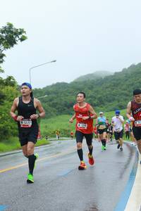 BIB: 5177, 5598
                            <button type="button" onclick="openModal(5714707)" class="btn btn-primary btn-sm float-right btn-popup" data-toggle="modal" data-target=".modal-high-quality">
                        <i class="fas fa-shopping-cart"></i> Add to Cart
                    </button>
                                            <button type="button" onclick="isThisMe(5714707, true)" class="btn btn-success btn-sm float-right btn-popup btn-isme hidden" data-toggle="tooltip" data-placement="bottom" title="นี่คือรูปของคุณใช่ไหม คลิกที่นี่เพื่อเอาเข้าอัลบั้ม">
                        <i class="fas fa-plus"></i> Add to album
                    </button>
                    <button type="button" onclick="isThisMe(5714707, false)" class="btn btn-warning btn-sm float-right btn-popup btn-isnotme hidden">
                        <i class="fas fa-ban"></i> Remove from album
                    </button>