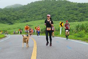 BIB: 3419
                            <button type="button" onclick="openModal(5709219)" class="btn btn-primary btn-sm float-right btn-popup" data-toggle="modal" data-target=".modal-high-quality">
                        <i class="fas fa-shopping-cart"></i> Add to Cart
                    </button>
                                            <button type="button" onclick="isThisMe(5709219, true)" class="btn btn-success btn-sm float-right btn-popup btn-isme hidden" data-toggle="tooltip" data-placement="bottom" title="นี่คือรูปของคุณใช่ไหม คลิกที่นี่เพื่อเอาเข้าอัลบั้ม">
                        <i class="fas fa-plus"></i> Add to album
                    </button>
                    <button type="button" onclick="isThisMe(5709219, false)" class="btn btn-warning btn-sm float-right btn-popup btn-isnotme hidden">
                        <i class="fas fa-ban"></i> Remove from album
                    </button>