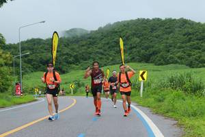 BIB: 
                            <button type="button" onclick="openModal(5578019)" class="btn btn-primary btn-sm float-right btn-popup" data-toggle="modal" data-target=".modal-high-quality">
                        <i class="fas fa-shopping-cart"></i> Add to Cart
                    </button>
                                            <button type="button" onclick="isThisMe(5578019, true)" class="btn btn-success btn-sm float-right btn-popup btn-isme hidden" data-toggle="tooltip" data-placement="bottom" title="นี่คือรูปของคุณใช่ไหม คลิกที่นี่เพื่อเอาเข้าอัลบั้ม">
                        <i class="fas fa-plus"></i> Add to album
                    </button>
                    <button type="button" onclick="isThisMe(5578019, false)" class="btn btn-warning btn-sm float-right btn-popup btn-isnotme hidden">
                        <i class="fas fa-ban"></i> Remove from album
                    </button>