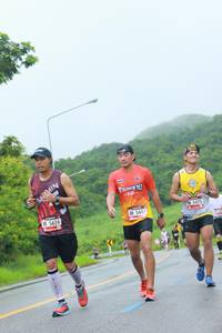 BIB: 5624, 5447, 5475
                            <button type="button" onclick="openModal(5715216)" class="btn btn-primary btn-sm float-right btn-popup" data-toggle="modal" data-target=".modal-high-quality">
                        <i class="fas fa-shopping-cart"></i> Add to Cart
                    </button>
                                            <button type="button" onclick="isThisMe(5715216, true)" class="btn btn-success btn-sm float-right btn-popup btn-isme hidden" data-toggle="tooltip" data-placement="bottom" title="นี่คือรูปของคุณใช่ไหม คลิกที่นี่เพื่อเอาเข้าอัลบั้ม">
                        <i class="fas fa-plus"></i> Add to album
                    </button>
                    <button type="button" onclick="isThisMe(5715216, false)" class="btn btn-warning btn-sm float-right btn-popup btn-isnotme hidden">
                        <i class="fas fa-ban"></i> Remove from album
                    </button>