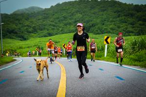 BIB: 3419
                            <button type="button" onclick="openModal(5815070)" class="btn btn-primary btn-sm float-right btn-popup" data-toggle="modal" data-target=".modal-high-quality">
                        <i class="fas fa-shopping-cart"></i> Add to Cart
                    </button>
                                            <button type="button" onclick="isThisMe(5815070, true)" class="btn btn-success btn-sm float-right btn-popup btn-isme hidden" data-toggle="tooltip" data-placement="bottom" title="นี่คือรูปของคุณใช่ไหม คลิกที่นี่เพื่อเอาเข้าอัลบั้ม">
                        <i class="fas fa-plus"></i> Add to album
                    </button>
                    <button type="button" onclick="isThisMe(5815070, false)" class="btn btn-warning btn-sm float-right btn-popup btn-isnotme hidden">
                        <i class="fas fa-ban"></i> Remove from album
                    </button>