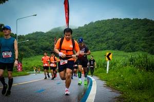 BIB: 5613
                            <button type="button" onclick="openModal(5816579)" class="btn btn-primary btn-sm float-right btn-popup" data-toggle="modal" data-target=".modal-high-quality">
                        <i class="fas fa-shopping-cart"></i> Add to Cart
                    </button>
                                            <button type="button" onclick="isThisMe(5816579, true)" class="btn btn-success btn-sm float-right btn-popup btn-isme hidden" data-toggle="tooltip" data-placement="bottom" title="นี่คือรูปของคุณใช่ไหม คลิกที่นี่เพื่อเอาเข้าอัลบั้ม">
                        <i class="fas fa-plus"></i> Add to album
                    </button>
                    <button type="button" onclick="isThisMe(5816579, false)" class="btn btn-warning btn-sm float-right btn-popup btn-isnotme hidden">
                        <i class="fas fa-ban"></i> Remove from album
                    </button>