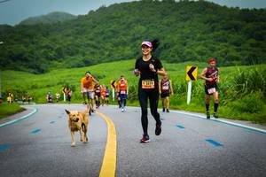 BIB: 3419
                            <button type="button" onclick="openModal(5815068)" class="btn btn-primary btn-sm float-right btn-popup" data-toggle="modal" data-target=".modal-high-quality">
                        <i class="fas fa-shopping-cart"></i> Add to Cart
                    </button>
                                            <button type="button" onclick="isThisMe(5815068, true)" class="btn btn-success btn-sm float-right btn-popup btn-isme hidden" data-toggle="tooltip" data-placement="bottom" title="นี่คือรูปของคุณใช่ไหม คลิกที่นี่เพื่อเอาเข้าอัลบั้ม">
                        <i class="fas fa-plus"></i> Add to album
                    </button>
                    <button type="button" onclick="isThisMe(5815068, false)" class="btn btn-warning btn-sm float-right btn-popup btn-isnotme hidden">
                        <i class="fas fa-ban"></i> Remove from album
                    </button>