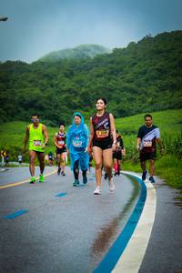 BIB: 3240
                            <button type="button" onclick="openModal(5816511)" class="btn btn-primary btn-sm float-right btn-popup" data-toggle="modal" data-target=".modal-high-quality">
                        <i class="fas fa-shopping-cart"></i> Add to Cart
                    </button>
                                            <button type="button" onclick="isThisMe(5816511, true)" class="btn btn-success btn-sm float-right btn-popup btn-isme hidden" data-toggle="tooltip" data-placement="bottom" title="นี่คือรูปของคุณใช่ไหม คลิกที่นี่เพื่อเอาเข้าอัลบั้ม">
                        <i class="fas fa-plus"></i> Add to album
                    </button>
                    <button type="button" onclick="isThisMe(5816511, false)" class="btn btn-warning btn-sm float-right btn-popup btn-isnotme hidden">
                        <i class="fas fa-ban"></i> Remove from album
                    </button>