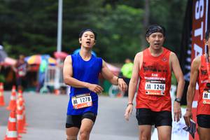 BIB: 1246, 1278
                            <button type="button" onclick="openModal(5567473)" class="btn btn-primary btn-sm float-right btn-popup" data-toggle="modal" data-target=".modal-high-quality">
                        <i class="fas fa-shopping-cart"></i> Add to Cart
                    </button>
                                            <button type="button" onclick="isThisMe(5567473, true)" class="btn btn-success btn-sm float-right btn-popup btn-isme hidden" data-toggle="tooltip" data-placement="bottom" title="นี่คือรูปของคุณใช่ไหม คลิกที่นี่เพื่อเอาเข้าอัลบั้ม">
                        <i class="fas fa-plus"></i> Add to album
                    </button>
                    <button type="button" onclick="isThisMe(5567473, false)" class="btn btn-warning btn-sm float-right btn-popup btn-isnotme hidden">
                        <i class="fas fa-ban"></i> Remove from album
                    </button>