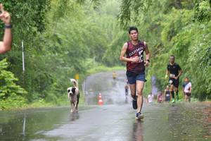 BIB: 
                            <button type="button" onclick="openModal(5619416)" class="btn btn-primary btn-sm float-right btn-popup" data-toggle="modal" data-target=".modal-high-quality">
                        <i class="fas fa-shopping-cart"></i> Add to Cart
                    </button>
                                            <button type="button" onclick="isThisMe(5619416, true)" class="btn btn-success btn-sm float-right btn-popup btn-isme hidden" data-toggle="tooltip" data-placement="bottom" title="นี่คือรูปของคุณใช่ไหม คลิกที่นี่เพื่อเอาเข้าอัลบั้ม">
                        <i class="fas fa-plus"></i> Add to album
                    </button>
                    <button type="button" onclick="isThisMe(5619416, false)" class="btn btn-warning btn-sm float-right btn-popup btn-isnotme hidden">
                        <i class="fas fa-ban"></i> Remove from album
                    </button>