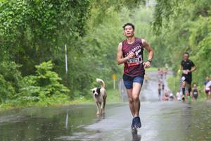 BIB: 5325, 
                            <button type="button" onclick="openModal(5619418)" class="btn btn-primary btn-sm float-right btn-popup" data-toggle="modal" data-target=".modal-high-quality">
                        <i class="fas fa-shopping-cart"></i> Add to Cart
                    </button>
                                            <button type="button" onclick="isThisMe(5619418, true)" class="btn btn-success btn-sm float-right btn-popup btn-isme hidden" data-toggle="tooltip" data-placement="bottom" title="นี่คือรูปของคุณใช่ไหม คลิกที่นี่เพื่อเอาเข้าอัลบั้ม">
                        <i class="fas fa-plus"></i> Add to album
                    </button>
                    <button type="button" onclick="isThisMe(5619418, false)" class="btn btn-warning btn-sm float-right btn-popup btn-isnotme hidden">
                        <i class="fas fa-ban"></i> Remove from album
                    </button>