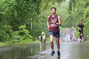 BIB: 5325, 
                            <button type="button" onclick="openModal(5619417)" class="btn btn-primary btn-sm float-right btn-popup" data-toggle="modal" data-target=".modal-high-quality">
                        <i class="fas fa-shopping-cart"></i> Add to Cart
                    </button>
                                            <button type="button" onclick="isThisMe(5619417, true)" class="btn btn-success btn-sm float-right btn-popup btn-isme hidden" data-toggle="tooltip" data-placement="bottom" title="นี่คือรูปของคุณใช่ไหม คลิกที่นี่เพื่อเอาเข้าอัลบั้ม">
                        <i class="fas fa-plus"></i> Add to album
                    </button>
                    <button type="button" onclick="isThisMe(5619417, false)" class="btn btn-warning btn-sm float-right btn-popup btn-isnotme hidden">
                        <i class="fas fa-ban"></i> Remove from album
                    </button>