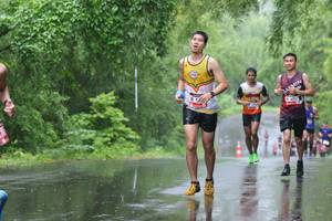 BIB: 
                            <button type="button" onclick="openModal(5619571)" class="btn btn-primary btn-sm float-right btn-popup" data-toggle="modal" data-target=".modal-high-quality">
                        <i class="fas fa-shopping-cart"></i> Add to Cart
                    </button>
                                            <button type="button" onclick="isThisMe(5619571, true)" class="btn btn-success btn-sm float-right btn-popup btn-isme hidden" data-toggle="tooltip" data-placement="bottom" title="นี่คือรูปของคุณใช่ไหม คลิกที่นี่เพื่อเอาเข้าอัลบั้ม">
                        <i class="fas fa-plus"></i> Add to album
                    </button>
                    <button type="button" onclick="isThisMe(5619571, false)" class="btn btn-warning btn-sm float-right btn-popup btn-isnotme hidden">
                        <i class="fas fa-ban"></i> Remove from album
                    </button>