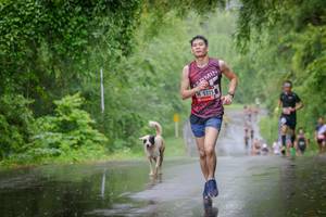 BIB: 5325
                            <button type="button" onclick="openModal(5786286)" class="btn btn-primary btn-sm float-right btn-popup" data-toggle="modal" data-target=".modal-high-quality">
                        <i class="fas fa-shopping-cart"></i> Add to Cart
                    </button>
                                            <button type="button" onclick="isThisMe(5786286, true)" class="btn btn-success btn-sm float-right btn-popup btn-isme hidden" data-toggle="tooltip" data-placement="bottom" title="นี่คือรูปของคุณใช่ไหม คลิกที่นี่เพื่อเอาเข้าอัลบั้ม">
                        <i class="fas fa-plus"></i> Add to album
                    </button>
                    <button type="button" onclick="isThisMe(5786286, false)" class="btn btn-warning btn-sm float-right btn-popup btn-isnotme hidden">
                        <i class="fas fa-ban"></i> Remove from album
                    </button>