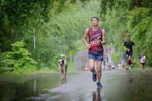 BIB: 
                            <button type="button" onclick="openModal(5786284)" class="btn btn-primary btn-sm float-right btn-popup" data-toggle="modal" data-target=".modal-high-quality">
                        <i class="fas fa-shopping-cart"></i> Add to Cart
                    </button>
                                            <button type="button" onclick="isThisMe(5786284, true)" class="btn btn-success btn-sm float-right btn-popup btn-isme hidden" data-toggle="tooltip" data-placement="bottom" title="นี่คือรูปของคุณใช่ไหม คลิกที่นี่เพื่อเอาเข้าอัลบั้ม">
                        <i class="fas fa-plus"></i> Add to album
                    </button>
                    <button type="button" onclick="isThisMe(5786284, false)" class="btn btn-warning btn-sm float-right btn-popup btn-isnotme hidden">
                        <i class="fas fa-ban"></i> Remove from album
                    </button>