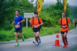 BIB: 1278, 2004, 
                            <button type="button" onclick="openModal(5806068)" class="btn btn-primary btn-sm float-right btn-popup" data-toggle="modal" data-target=".modal-high-quality">
                        <i class="fas fa-shopping-cart"></i> Add to Cart
                    </button>
                                            <button type="button" onclick="isThisMe(5806068, true)" class="btn btn-success btn-sm float-right btn-popup btn-isme hidden" data-toggle="tooltip" data-placement="bottom" title="นี่คือรูปของคุณใช่ไหม คลิกที่นี่เพื่อเอาเข้าอัลบั้ม">
                        <i class="fas fa-plus"></i> Add to album
                    </button>
                    <button type="button" onclick="isThisMe(5806068, false)" class="btn btn-warning btn-sm float-right btn-popup btn-isnotme hidden">
                        <i class="fas fa-ban"></i> Remove from album
                    </button>