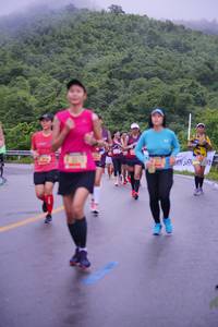 BIB: 
                            <button type="button" onclick="openModal(5713096)" class="btn btn-primary btn-sm float-right btn-popup" data-toggle="modal" data-target=".modal-high-quality">
                        <i class="fas fa-shopping-cart"></i> Add to Cart
                    </button>
                                            <button type="button" onclick="isThisMe(5713096, true)" class="btn btn-success btn-sm float-right btn-popup btn-isme hidden" data-toggle="tooltip" data-placement="bottom" title="นี่คือรูปของคุณใช่ไหม คลิกที่นี่เพื่อเอาเข้าอัลบั้ม">
                        <i class="fas fa-plus"></i> Add to album
                    </button>
                    <button type="button" onclick="isThisMe(5713096, false)" class="btn btn-warning btn-sm float-right btn-popup btn-isnotme hidden">
                        <i class="fas fa-ban"></i> Remove from album
                    </button>