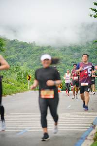 BIB: 
                            <button type="button" onclick="openModal(5729045)" class="btn btn-primary btn-sm float-right btn-popup" data-toggle="modal" data-target=".modal-high-quality">
                        <i class="fas fa-shopping-cart"></i> Add to Cart
                    </button>
                                            <button type="button" onclick="isThisMe(5729045, true)" class="btn btn-success btn-sm float-right btn-popup btn-isme hidden" data-toggle="tooltip" data-placement="bottom" title="นี่คือรูปของคุณใช่ไหม คลิกที่นี่เพื่อเอาเข้าอัลบั้ม">
                        <i class="fas fa-plus"></i> Add to album
                    </button>
                    <button type="button" onclick="isThisMe(5729045, false)" class="btn btn-warning btn-sm float-right btn-popup btn-isnotme hidden">
                        <i class="fas fa-ban"></i> Remove from album
                    </button>