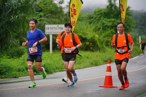 BIB: 1278, 2004, 
                            <button type="button" onclick="openModal(5718574)" class="btn btn-primary btn-sm float-right btn-popup" data-toggle="modal" data-target=".modal-high-quality">
                        <i class="fas fa-shopping-cart"></i> Add to Cart
                    </button>
                                            <button type="button" onclick="isThisMe(5718574, true)" class="btn btn-success btn-sm float-right btn-popup btn-isme hidden" data-toggle="tooltip" data-placement="bottom" title="นี่คือรูปของคุณใช่ไหม คลิกที่นี่เพื่อเอาเข้าอัลบั้ม">
                        <i class="fas fa-plus"></i> Add to album
                    </button>
                    <button type="button" onclick="isThisMe(5718574, false)" class="btn btn-warning btn-sm float-right btn-popup btn-isnotme hidden">
                        <i class="fas fa-ban"></i> Remove from album
                    </button>