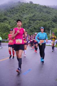 BIB: 
                            <button type="button" onclick="openModal(5713094)" class="btn btn-primary btn-sm float-right btn-popup" data-toggle="modal" data-target=".modal-high-quality">
                        <i class="fas fa-shopping-cart"></i> Add to Cart
                    </button>
                                            <button type="button" onclick="isThisMe(5713094, true)" class="btn btn-success btn-sm float-right btn-popup btn-isme hidden" data-toggle="tooltip" data-placement="bottom" title="นี่คือรูปของคุณใช่ไหม คลิกที่นี่เพื่อเอาเข้าอัลบั้ม">
                        <i class="fas fa-plus"></i> Add to album
                    </button>
                    <button type="button" onclick="isThisMe(5713094, false)" class="btn btn-warning btn-sm float-right btn-popup btn-isnotme hidden">
                        <i class="fas fa-ban"></i> Remove from album
                    </button>