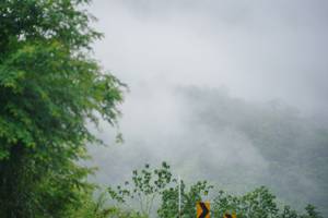 BIB: 
                            <button type="button" onclick="openModal(5707989)" class="btn btn-primary btn-sm float-right btn-popup" data-toggle="modal" data-target=".modal-high-quality">
                        <i class="fas fa-shopping-cart"></i> Add to Cart
                    </button>
                                            <button type="button" onclick="isThisMe(5707989, true)" class="btn btn-success btn-sm float-right btn-popup btn-isme hidden" data-toggle="tooltip" data-placement="bottom" title="นี่คือรูปของคุณใช่ไหม คลิกที่นี่เพื่อเอาเข้าอัลบั้ม">
                        <i class="fas fa-plus"></i> Add to album
                    </button>
                    <button type="button" onclick="isThisMe(5707989, false)" class="btn btn-warning btn-sm float-right btn-popup btn-isnotme hidden">
                        <i class="fas fa-ban"></i> Remove from album
                    </button>