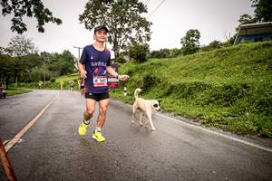 BIB: 5607
                            <button type="button" onclick="openModal(5849620)" class="btn btn-primary btn-sm float-right btn-popup" data-toggle="modal" data-target=".modal-high-quality">
                        <i class="fas fa-shopping-cart"></i> Add to Cart
                    </button>
                                            <button type="button" onclick="isThisMe(5849620, true)" class="btn btn-success btn-sm float-right btn-popup btn-isme hidden" data-toggle="tooltip" data-placement="bottom" title="นี่คือรูปของคุณใช่ไหม คลิกที่นี่เพื่อเอาเข้าอัลบั้ม">
                        <i class="fas fa-plus"></i> Add to album
                    </button>
                    <button type="button" onclick="isThisMe(5849620, false)" class="btn btn-warning btn-sm float-right btn-popup btn-isnotme hidden">
                        <i class="fas fa-ban"></i> Remove from album
                    </button>